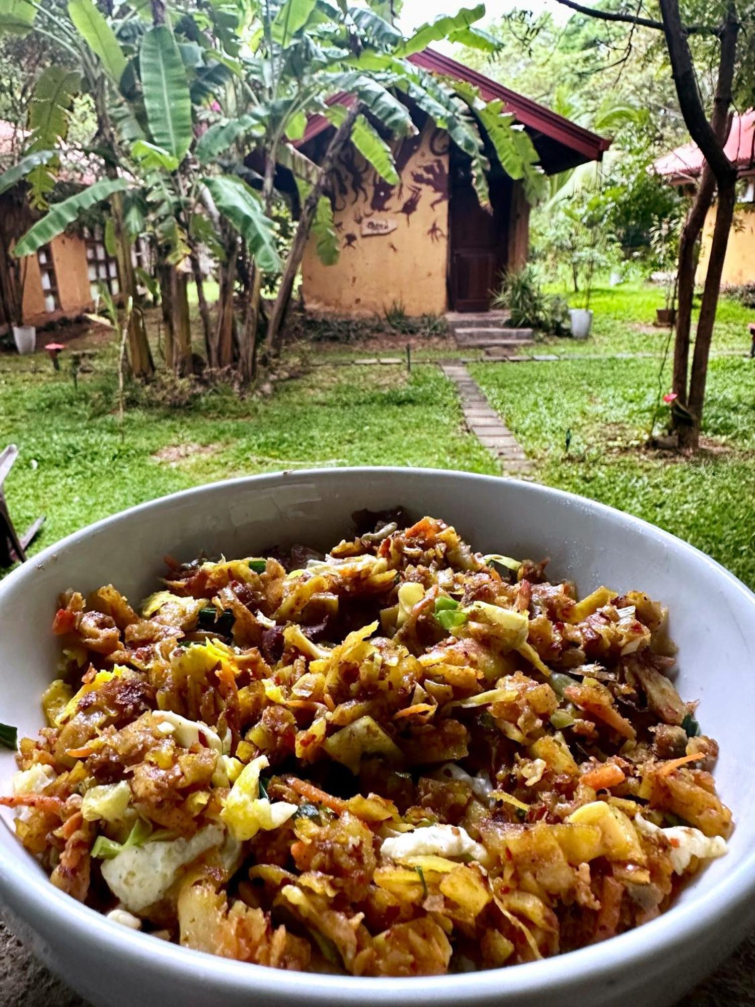 Sat Nam Village Eco-Hotel Sigiriya Buitenkant foto